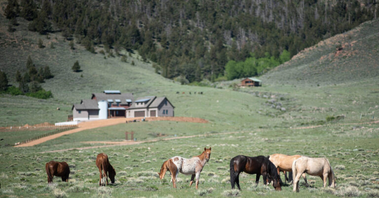 R Wild Horse Ranch Timeshare